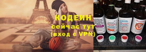 крисы Горняк