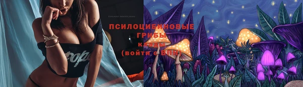 крисы Горнозаводск