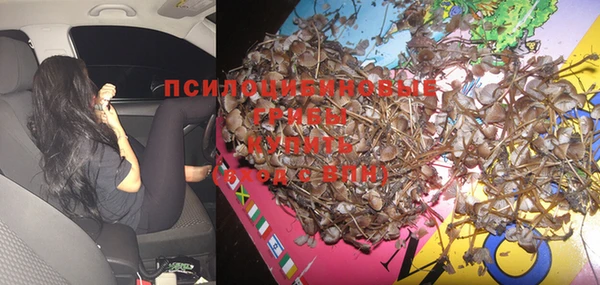 крисы Горняк