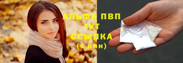 гидра Горно-Алтайск