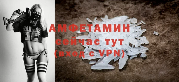 крисы Горняк