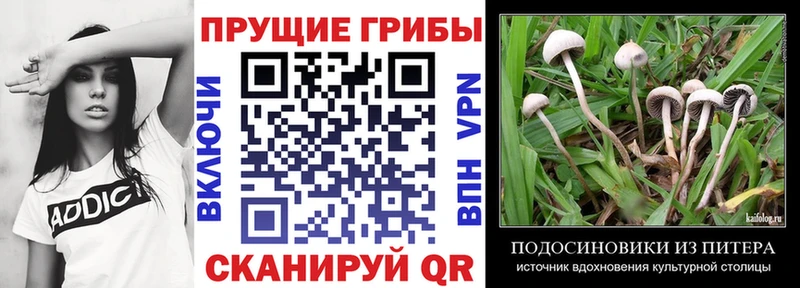 Псилоцибиновые грибы мухоморы  Окуловка 